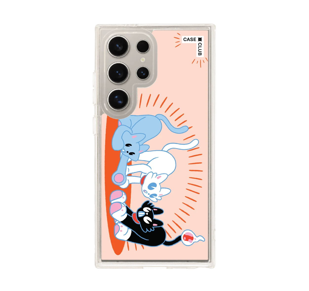 พลังแมวมารวมตัว